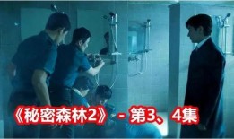 秘密森林04在线观看,暗流涌动的真相揭晓